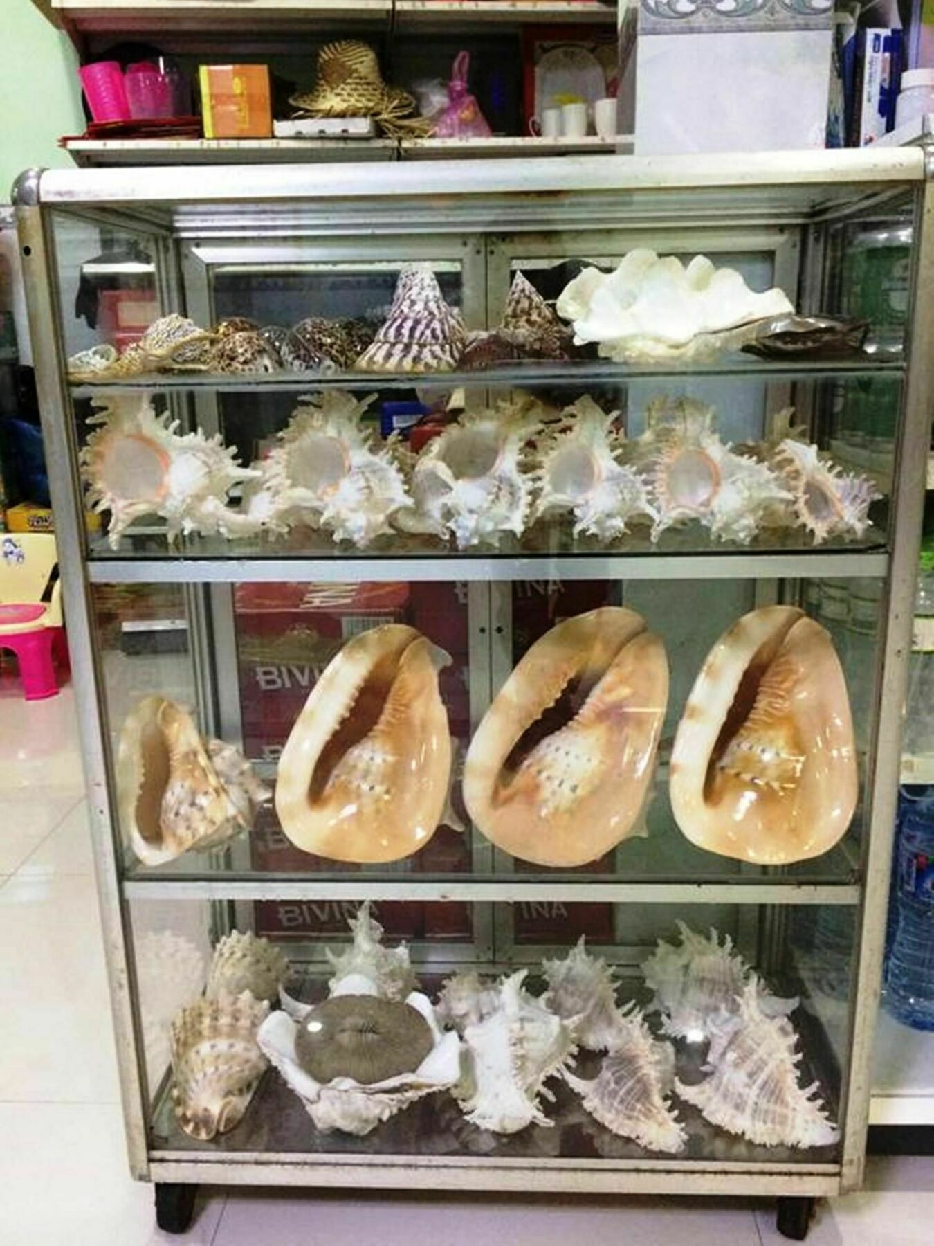 Y Thu Guesthouse Phú Quốc Eksteriør billede